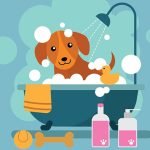大人しく身体を洗われる小型犬、気持ちよさそう（動画）
