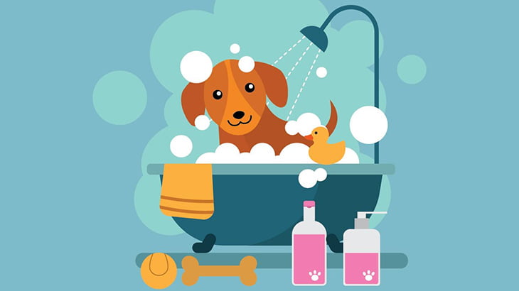 大人しく身体を洗われる小型犬、気持ちよさそう（動画）