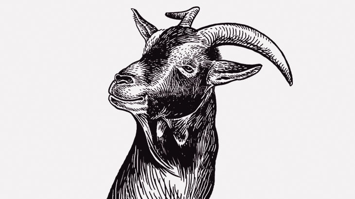 家畜のヤギさん、飼い主の歌声にうっとり恋人気分に（動画）