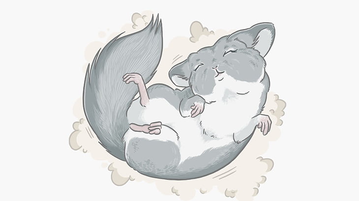 ペットのチンチラ「砂浴び最高ーーー！！」（動画）