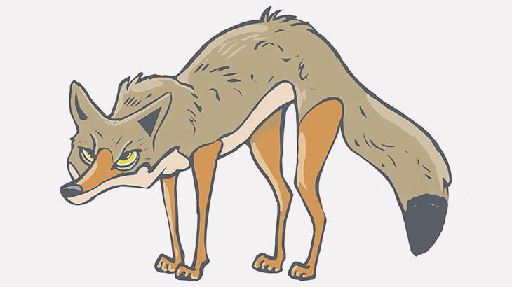 １匹の野良犬、３匹のコヨーテに噛み殺されてしまう･･･（動画）