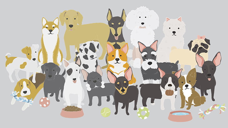 飼い主に騙されて納得がいかないワンコたち（動画）