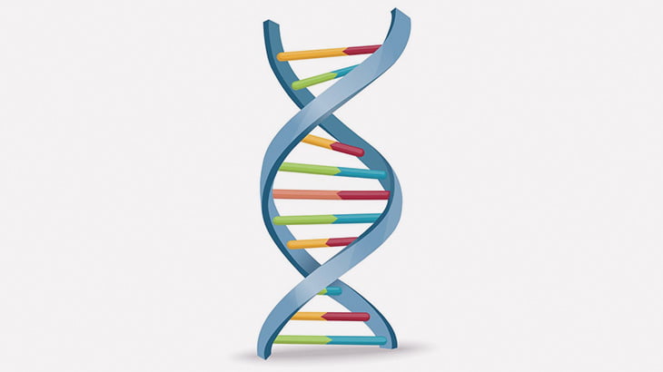 四肢が無い赤ちゃんのためのストレッチ療法（動画）