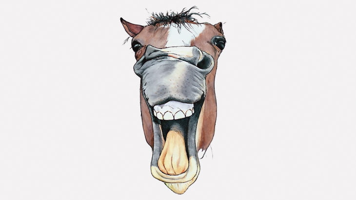 子供「お馬さんに乗ろう！」馬「は？」 → ブチギレ足蹴り（動画）