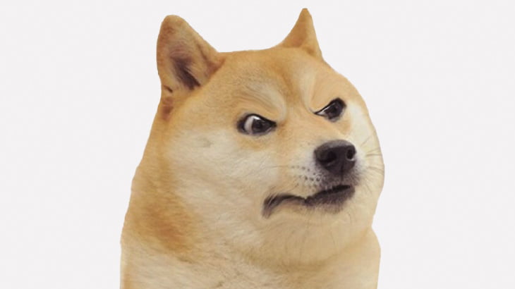 飼い犬「お前、屁こいたな･･･？」（動画）