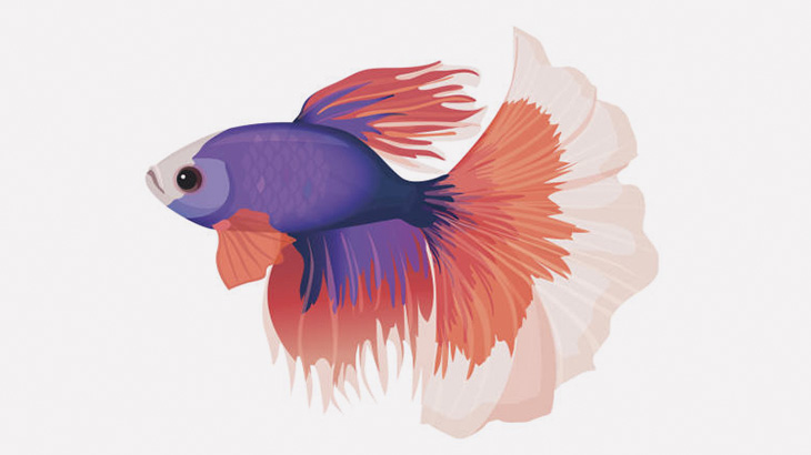 ペットの観賞魚がなぜかくるくる回ってる･･･（動画）