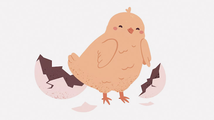 産まれたばかりの小鳥さん、生きているのが不思議なくらいウジ虫だらけ･･･（動画）