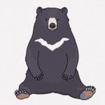 【閲覧注意】山でツキノワグマに遭遇した男、顔の半分をズタズタにされてしまう･･･（画像）