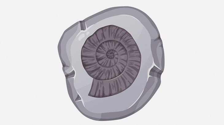 岩を砕き、貝化石を採集して販売する男のお仕事（動画）