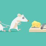 ネズミやゴキブリを捕獲して懲らしめるトラップ作ってみた（動画）