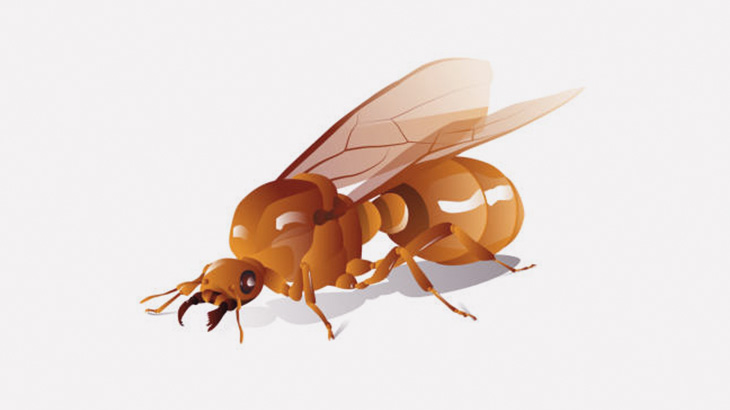 家の電灯に羽アリがたくさん集まってきたな･･･食べよう！（動画）