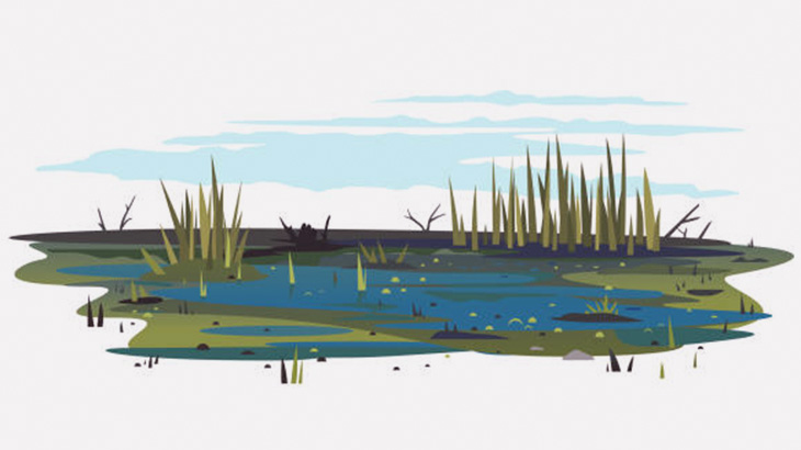 池沼に浮かぶ「浮島」で沈んだり飛び跳ねたりして遊ぶ男たち（動画）