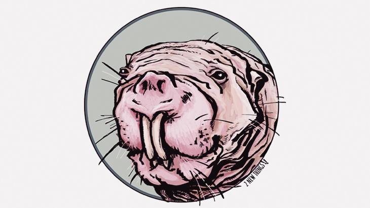 常に歯が飛び出てるオオデバネズミを飼ってます。可愛いでしょ？（動画）