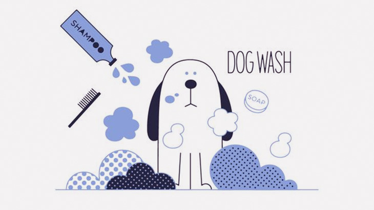 身体を洗ってもらうのが大好きなワンコたち、気持ちよさそう（動画）