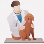 獣医師「このクソ犬！噛みつきやがって！」 → ドライヤーで殴りまくる（動画）