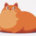 太りすぎてされるがままなデブ猫さん、愛くるしい（動画）