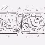 川魚なんて空のペットボトル１本あれば釣れるんすよ（動画）