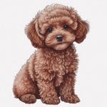 飼い主のちょっとした行動にすぐ歯を剥き出しにして威嚇するワンコ