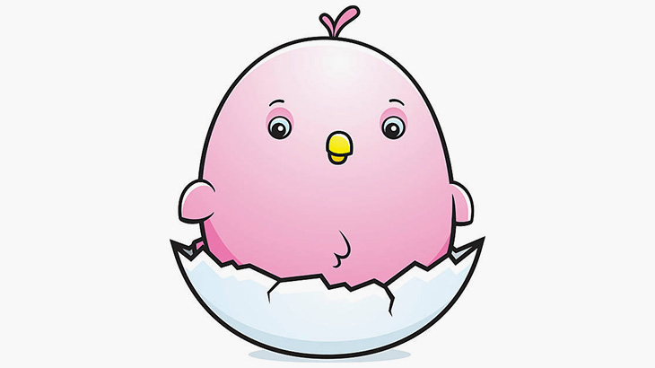 インコの雛が成長していく様子を撮影し続けた記録映像集