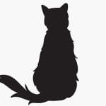 人間に虐待されて顔の半分が欠けてしまった猫の日常