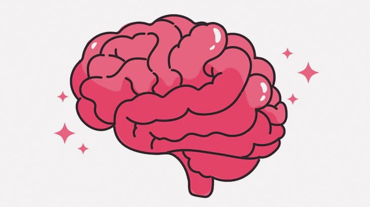 男「やっぱり牛の脳ミソは生で食べるに限るぜ！」