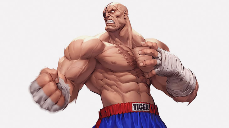 このヘビー級っぽいムキムキマン、ストリートファイターのサガットそっくり