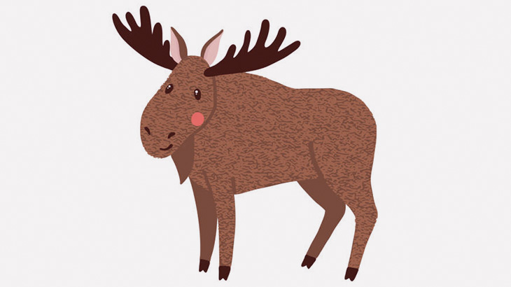 ヘラジカ「セックスしようや！･･･あれ？セックスしようや？」