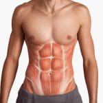 生まれつき腹筋が欠損している「プルーンベリー症候群」でお腹ブヨブヨの男性