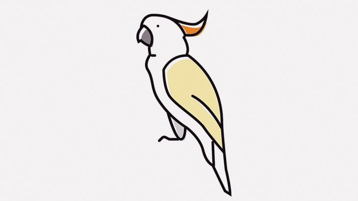 曲が流れるとテンションぶち上がって踊りだす少しウザいかもしれないオウムさん