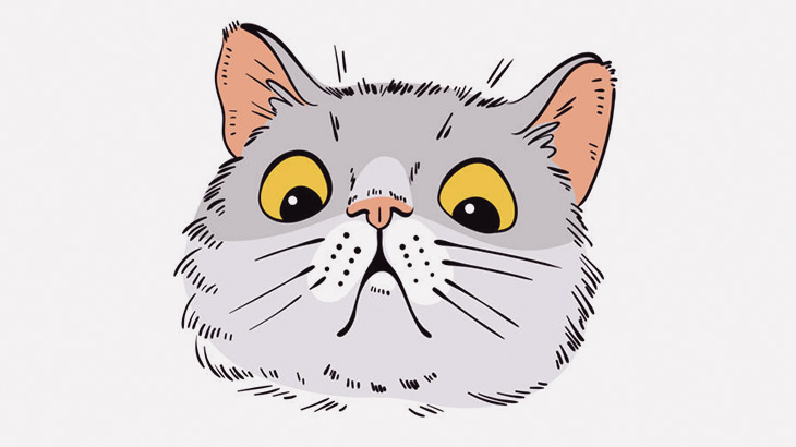 ネバネバしたクソ長い鼻水を根こそぎ引っこ抜かれる猫たち