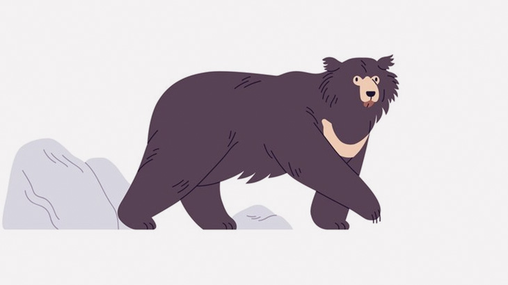 薪を拾いに森へ入った父と息子、ナマケグマに襲われて死亡･･･