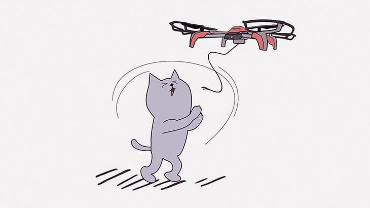 街に住み着く野良猫たちにドローンでエサを届けてみた