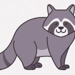 走る車の屋根に乗って交尾する２匹のアライグマが撮影される