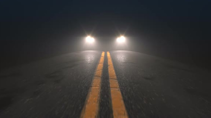 夜道を走っていた車、超大量のシカの群れを轢いてしまう･･･