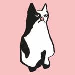 ちょっかいかけてくる飼い主にウザそうにしながらも付き合ってくれる飼い猫たち