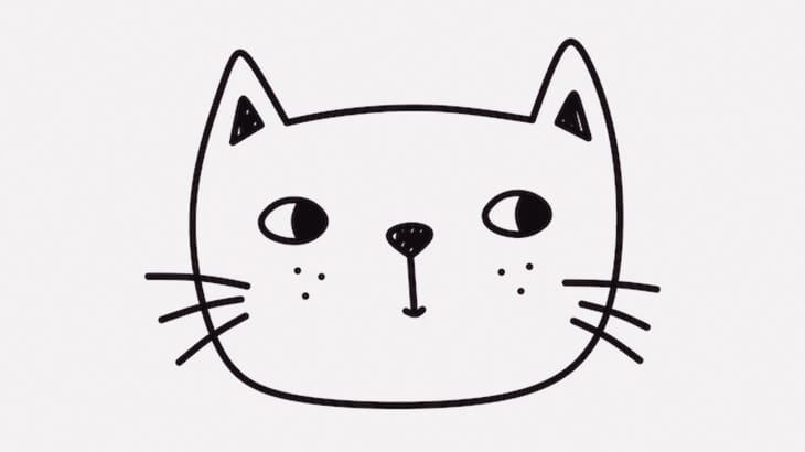 ちょっと気を抜くと変な顔になる、顔の模様が個性的すぎる猫