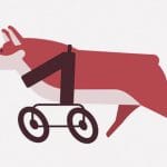 生まれつき前足がない子犬のために車椅子を作ってあげました