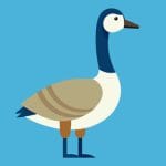 ハンティングのためにリアルなガチョウの鳴き声を出しておびき寄せるハンターたち