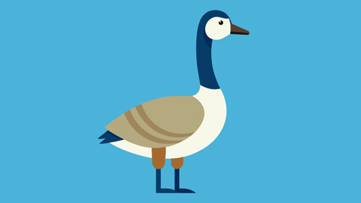 ハンティングのためにリアルなガチョウの鳴き声を出しておびき寄せるハンターたち