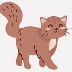 なんだか歩き方が少しおかしな猫の日常