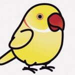 くちばしが折れてしまったインコさん、少し別の生き物っぽい