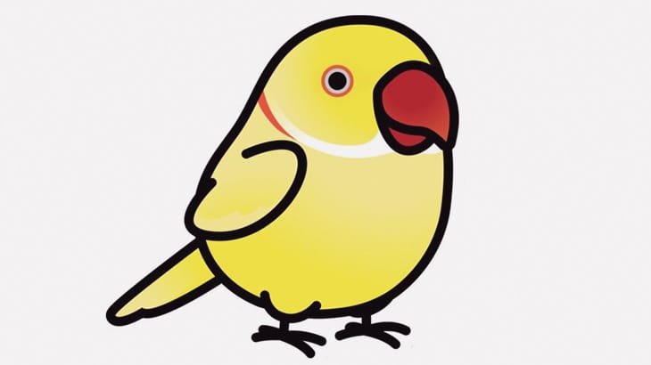 くちばしが折れてしまったインコさん、少し別の生き物っぽい