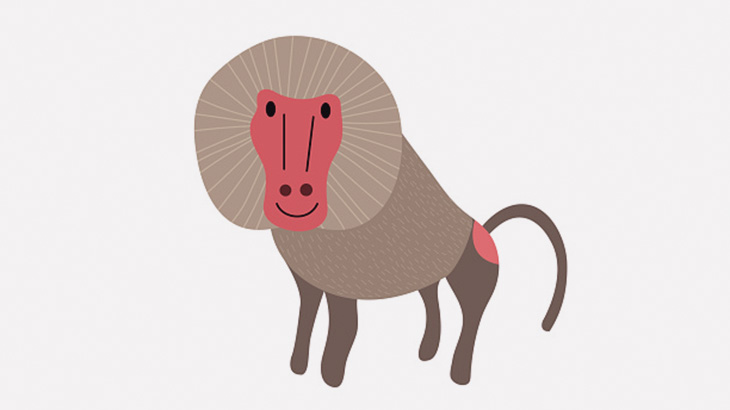 孤児となり人間に保護されて室内飼いされているヒヒの生活