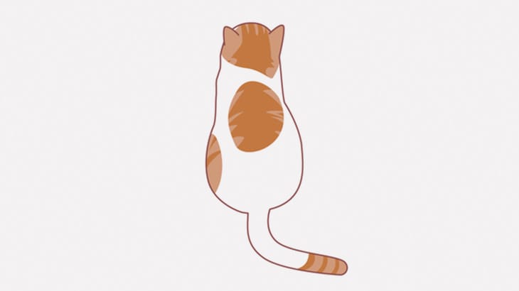 片目が異様な状態になっている、盲目の猫