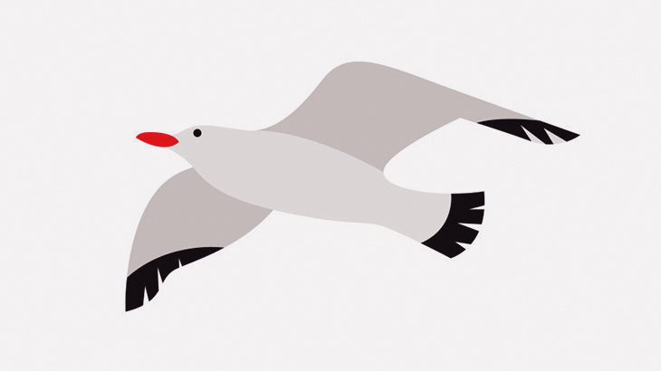 街を撮影していたドローン、カモメに撃墜される