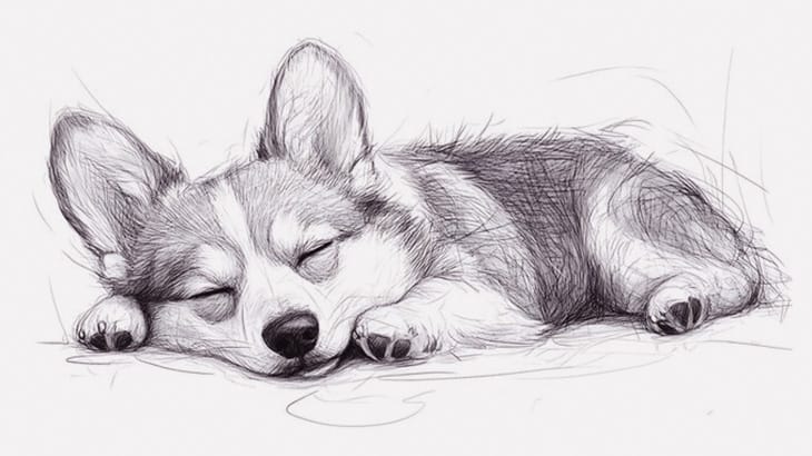 ＳＮＳに出回った印象的な動物たちのワンシーンを描いてみた