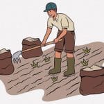 ぐんぐん成長する農作物と生産者のタイムラプス