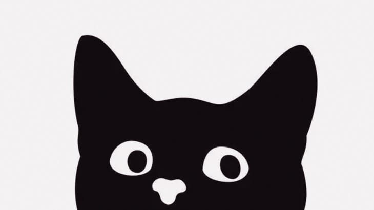 この飼い猫さん、頭がなんかすごいことに･･･