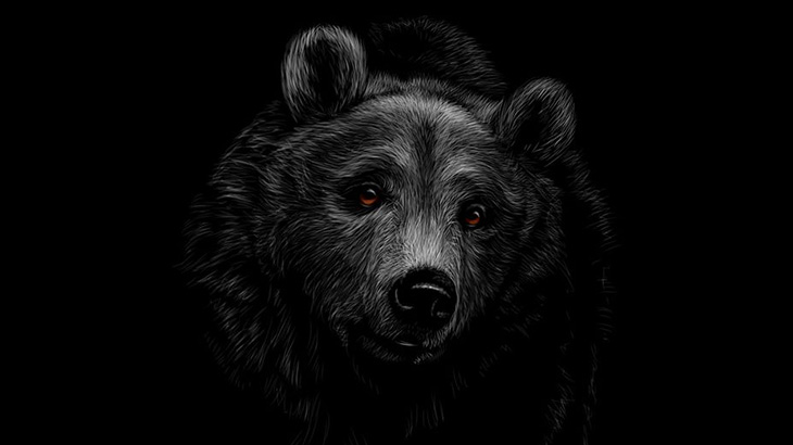 【閲覧注意】アメリカグマに襲われた男性の顔、ぐちゃぐちゃ･･･