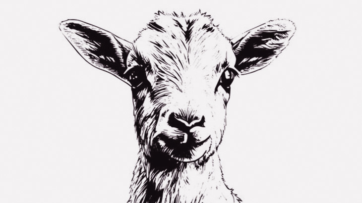 ４本の足がすべて無いヤギさん、まるで別の生き物･･･